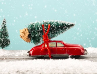 Rode miniatuur auto